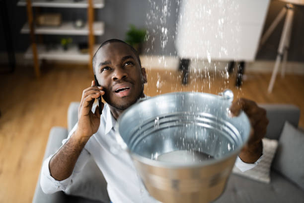 Best Sewage cleanup and water damage restoration  in Hortonville, WI