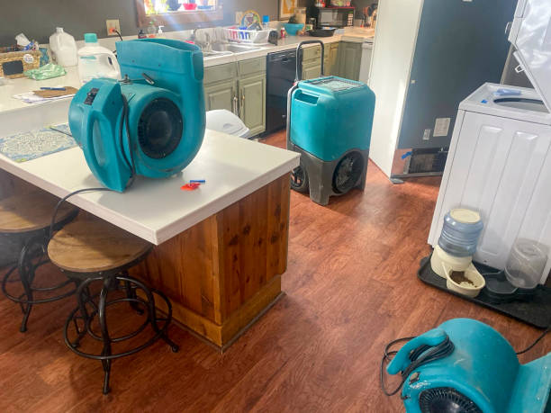 Best Water damage contractors near me  in Hortonville, WI