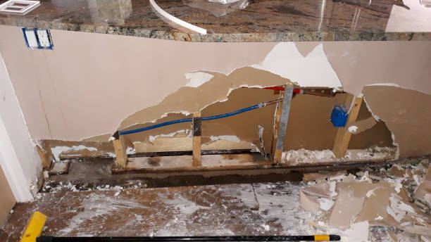 Best Basement water damage restoration  in Hortonville, WI
