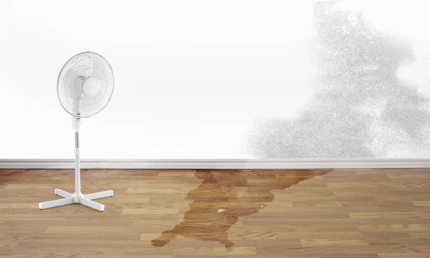 Best Commercial water damage restoration  in Hortonville, WI