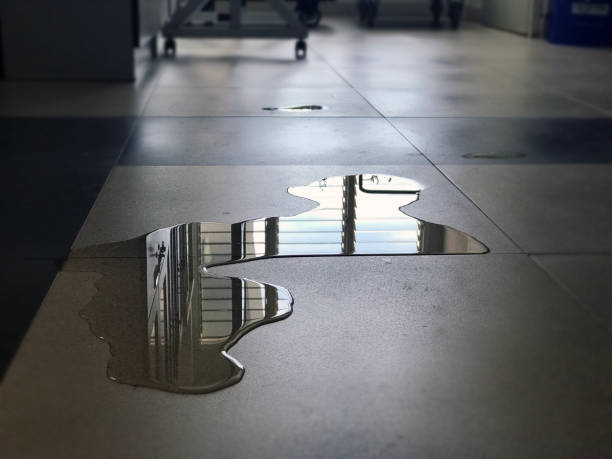 Best Emergency water damage restoration  in Hortonville, WI