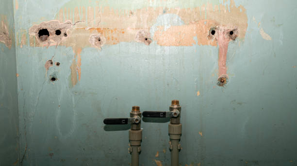 Best Basement water damage restoration  in Hortonville, WI
