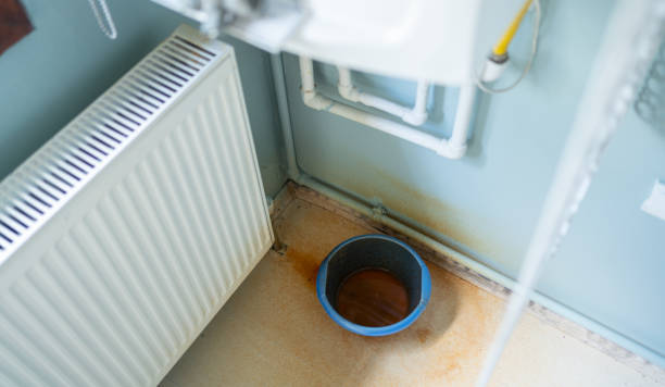 Best Fire Damage Restoration  in Hortonville, WI