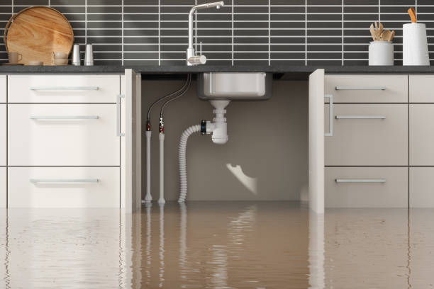 Best Residential water damage restoration  in Hortonville, WI