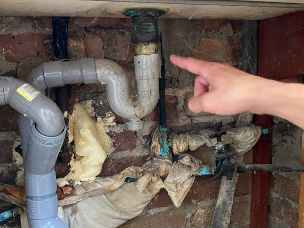 Best Flood restoration services  in Hortonville, WI