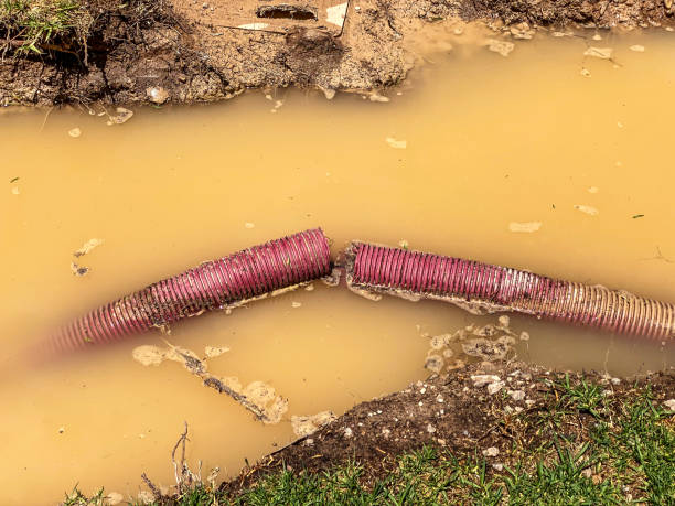 Best Flood damage cleanup  in Hortonville, WI