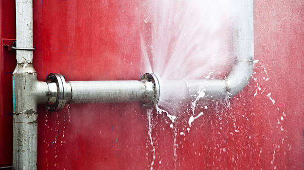 Best Water damage cleanup near me  in Hortonville, WI
