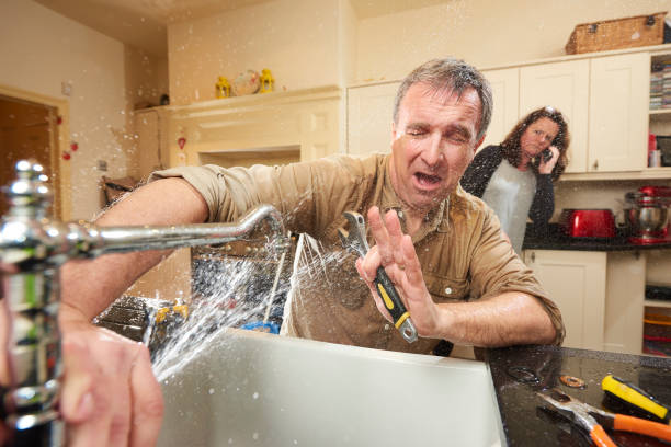 Best Fire Damage Restoration  in Hortonville, WI
